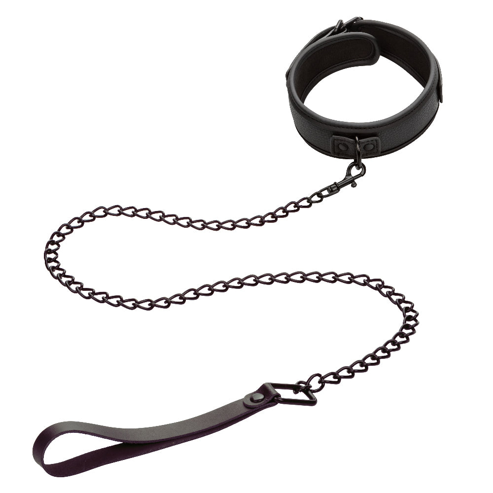 Nocturnal Collection Collar and Leash - Black