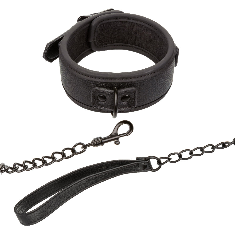 Nocturnal Collection Collar and Leash - Black