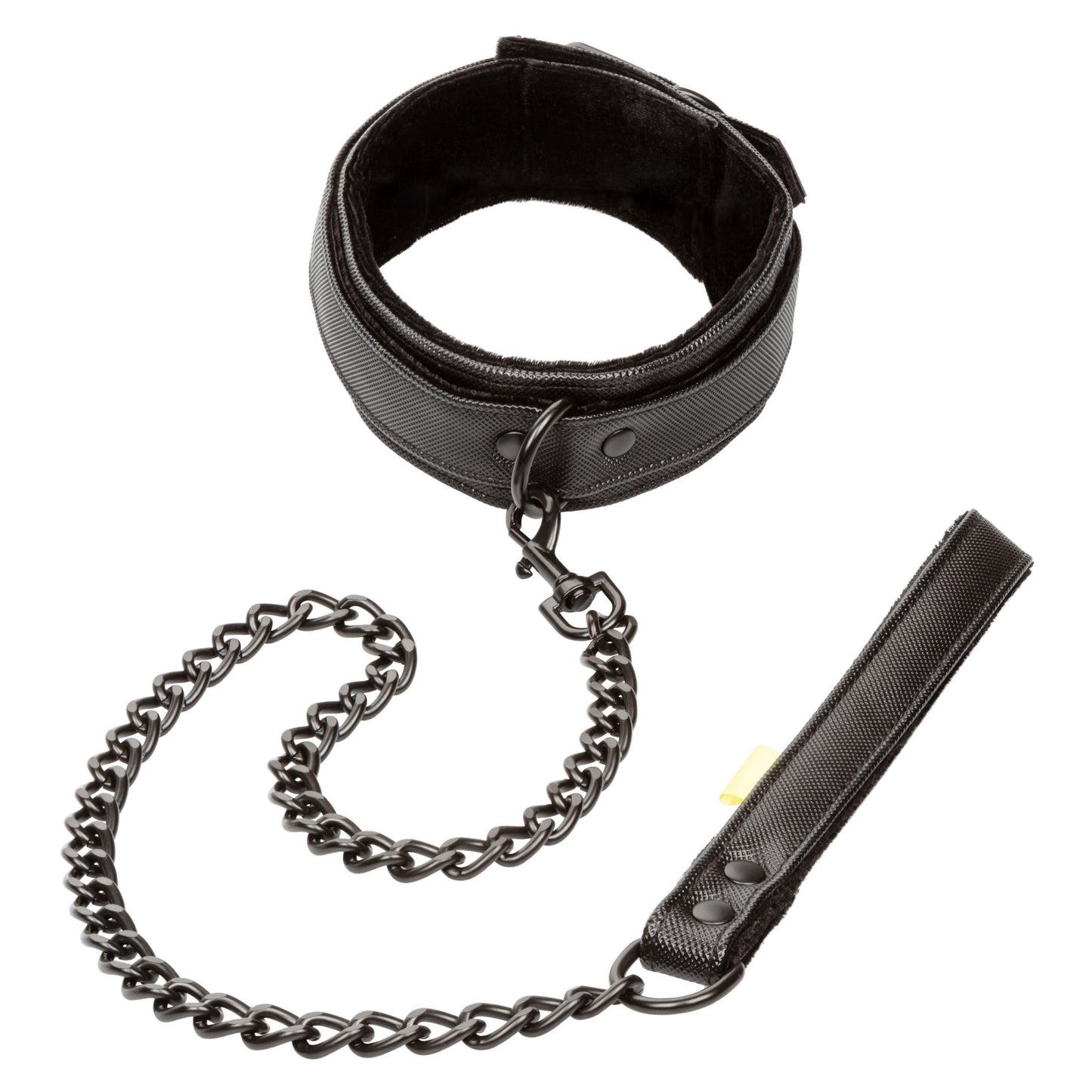 Boundless Collar & Leash